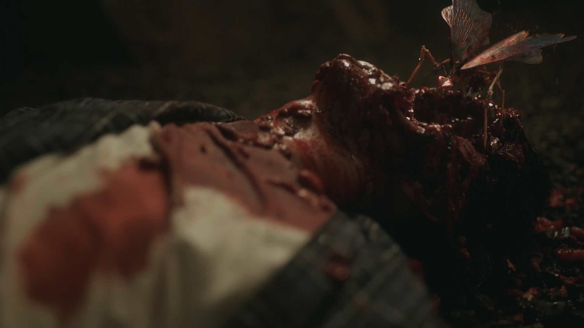 Still 2025 11 01 161911 1.1.1